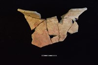 陶罐藏品圖，第1張